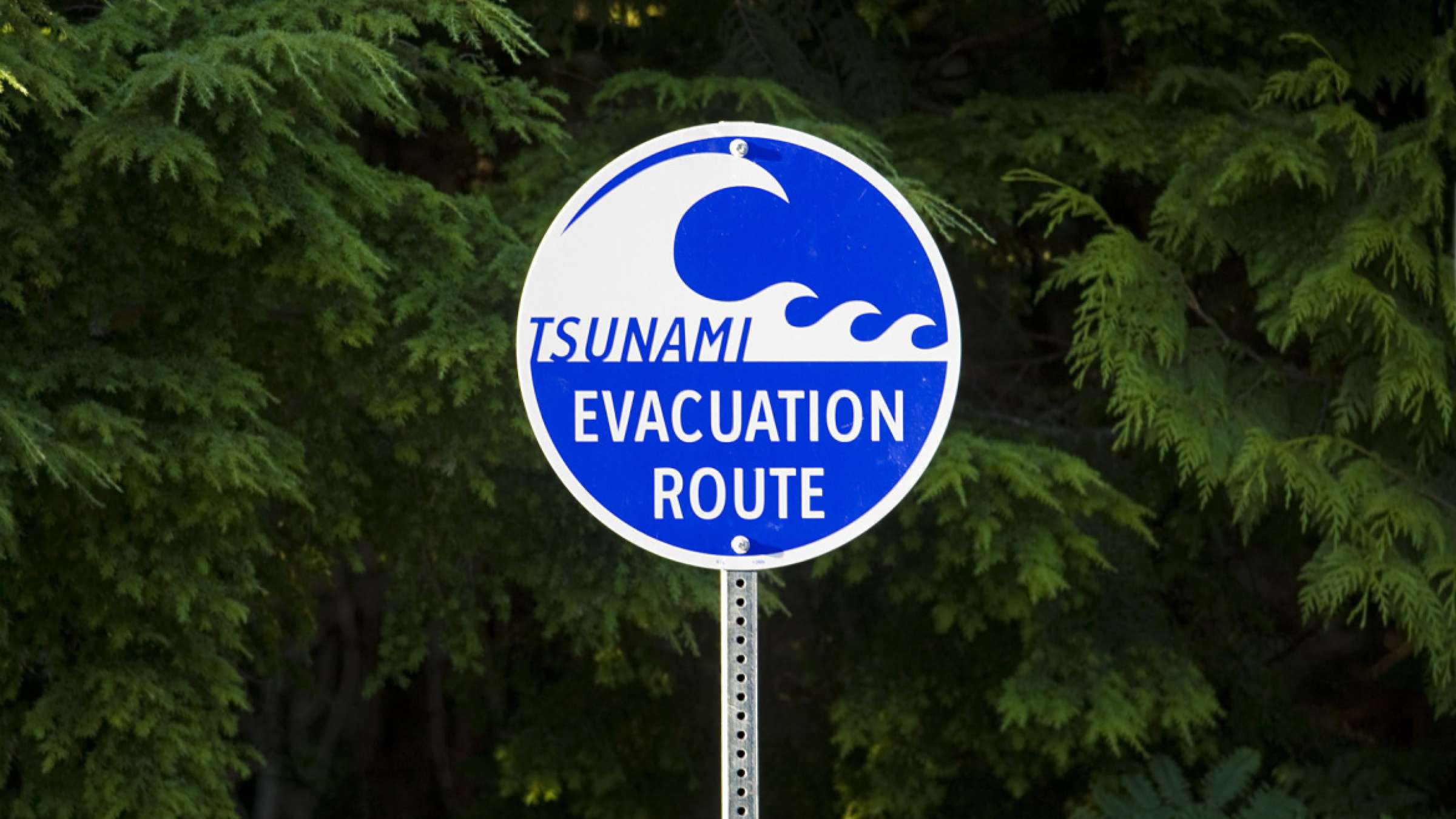 Tsunami evacuation sign